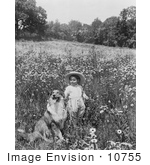 #10755 Picture Of A Child And A Collie Dog In A Field