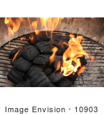 #10903 Picture Of Charcoal Briquettes Combusting Into Flames