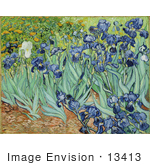 #13413 Picture Of The Painting Of Irises By Vincent Van Gogh