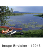 #15943 Picture Of A Wading Moose And Airplane Kanuti National Wildlife Refuge Alaska