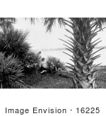 #16225 Picture Of Women Under A Palm Tree On A Beach In Miami