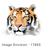 #17653 Orange Black And White Tiger Face Clipart