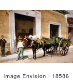 #18586 Photo Of A Man Leading A Mule That Is Pulling A Cart In Havana Cuba