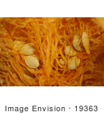 #19363 Photo of Pumpkin Seeds and Guts Inside a Halloween Pumpkin by Jamie Voetsch