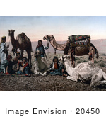 #20450 Historical Stock Photography Of Bedouins And Camels Resting In The Desert Holy Land