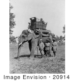 #20914 Stock Photography Of Edward Vii King Of Great Britan Standing By An Elephant With A Howdah Carriage