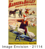 #21114 Stock Photography Of A Barnum And Bailey Circus Poster Of Clowns Performing With Geese Roosters And A Donkey