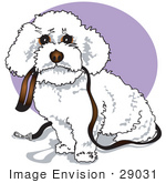#29031 Royalty-Free Cartoon Clip Art Of A Cute White Bichon Frise Dog Carrying A Leash In Its Mouth And Begging To Be Walked
