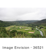 #36521 Stock Photo Of A Scenic View Of Hanalei River Flowing Through Hanalei Valley In Northern Kauai Hawaii