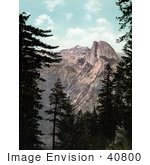 #40800 Stock Photo Of Tall Green Trees Framing A View Of Half Dome Yosemite National Park California
