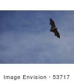 #53717 Royalty-Free Stock Photo Of A Bat