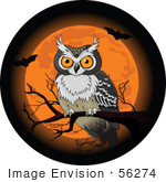 #56274 Royalty-Free (Rf) Clip Art Halloween Owl Perched On A Bare Branch In Front Of An Orange Full Moon With Bats
