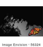 #56324 Royalty-Free (Rf) Clip Art Illustration Of A Monarch Butterfly On A Reflective Gray And Black Surface