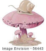 #56443 Clip Art Illustration Of A Snail Wandering On Top Of A Pink Mushroom