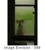 #599 Picture Of A Dog Waiting At The Front Door