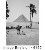 #6495 Great Pyramid And Sphinx In Giza
