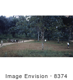#8374 Picture Of Eis Officers Playing Frisbee At Refugee Camps In Nigeria - 1967