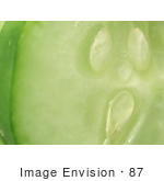 #87 Vegetable Food Picture of a Cucumber Slice by Kenny Adams
