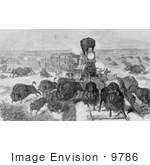 #9786 Picture Of Hunters Shooting Bison From A Train