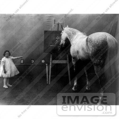 #11282 Picture of a Girl With a Smart Horse by JVPD