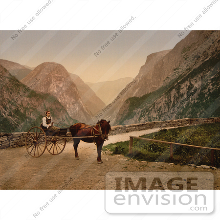 #11526 Picture of a Norwegian Woman in a Carriage, Hardanger Fjord by JVPD