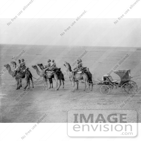#12726 Picture of Camels Pulling a Carriage by JVPD