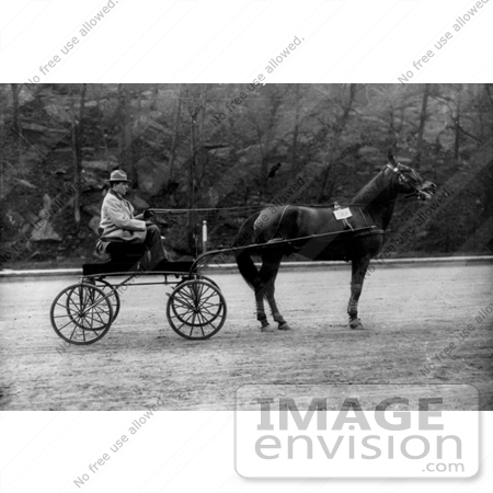 #12740 Picture of a Man on a Compact Horse Drawn Carriage by JVPD