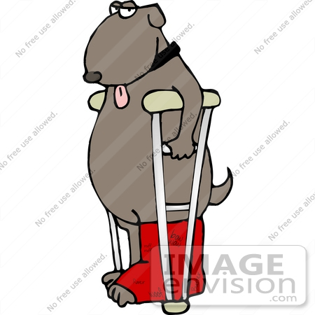 #12762 Dog With Leg in a Cast and Crutches Clipart by DJArt