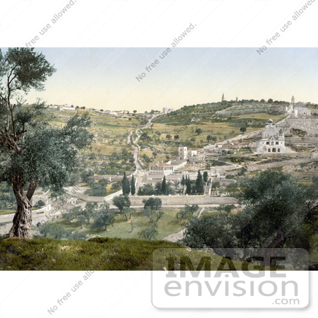 #14401 Picture of Mount Olivet and Garden of Gethsemane by JVPD