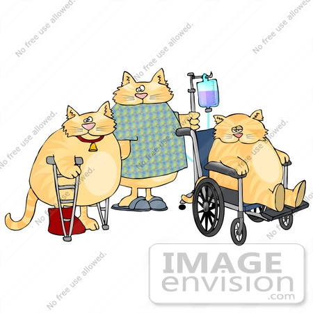 #19442 Three Cats in a Hospital With Crutches, IV and Wheelchair Clipart by 