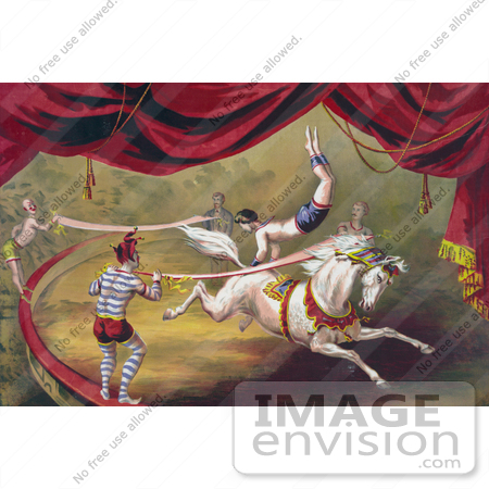 #20728 Stock Photography of a Circus Acrobat Doing a Hand Stand on a Horse by JVPD