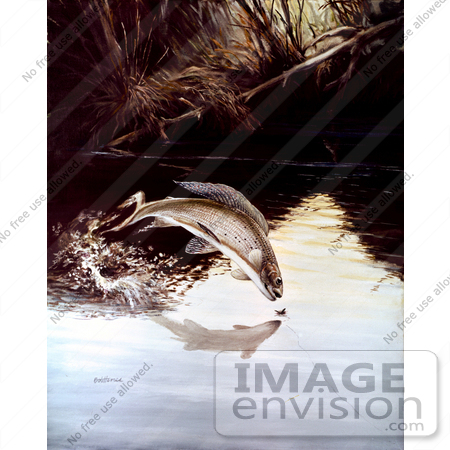 #21006 Clipart Image Illustration of an Arctic Grayling Fish (Thymallus 