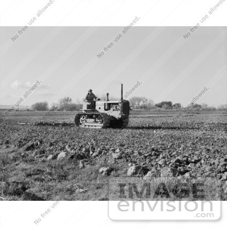 #2925 Cultivating a Potato Field by JVPD