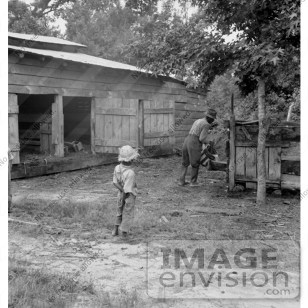 #3095 African American Tenant Farmer Feeding Pigs by JVPD