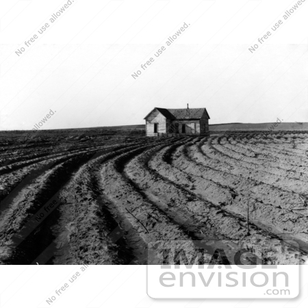 #3107 Tilled Rows by JVPD