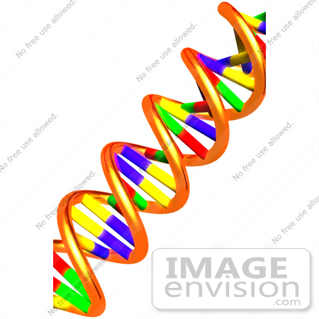 #31441 DNA Double Helix 3D Illustration by Oleksiy Maksymenko