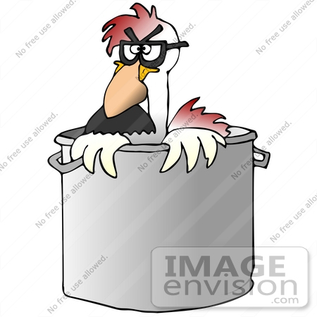 funny chicken pictures. a Funny Chicken in a Pot,