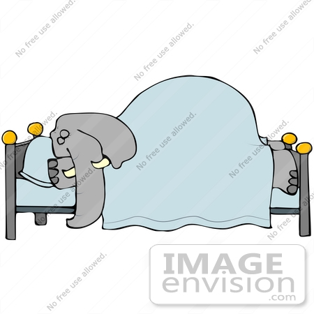 Elephant Bed