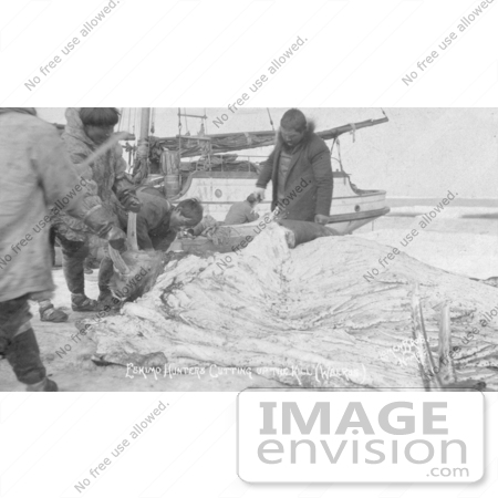 #4891 Eskimo Hunters Cutting up a Walrus by JVPD
