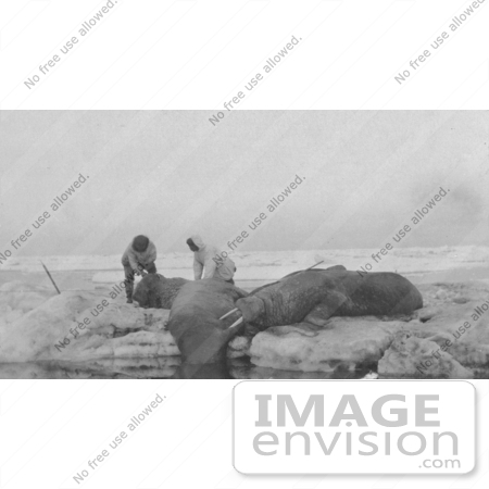 #4931 Men Hunting Walruses by JVPD