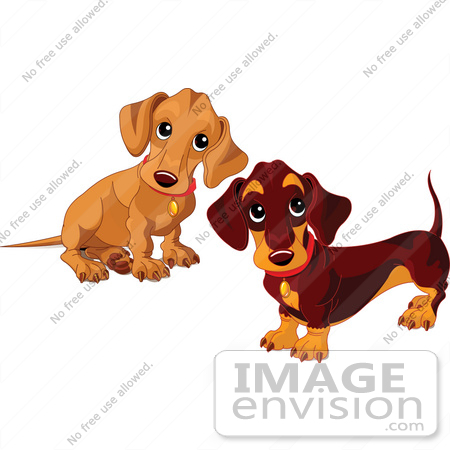 Free Coloring Pages Puppy. coloring pages of puppies