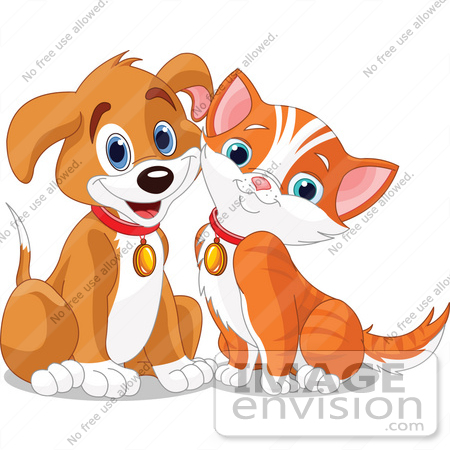 pics of puppies and kittens together. Puppy And Orange Kitten