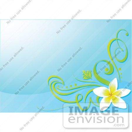 free clip art flowers borders. 2010 Background Clipart free