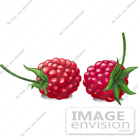 #56511 Royalty-Free (RF) Clip Art Illustration Of Two Ripe Red Raspberries