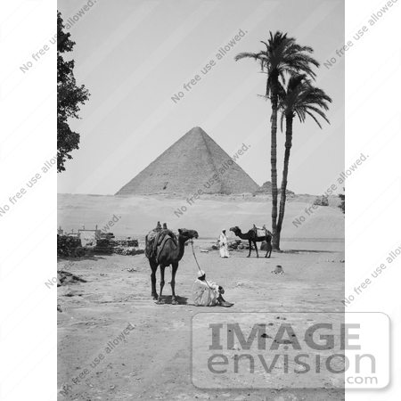 #6495 Great Pyramid and Sphinx in Giza by JVPD