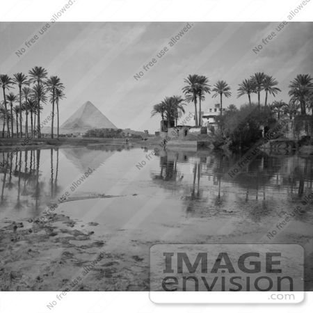 #6508 Village, Palm Grove and Egyptian Pyramids by JVPD