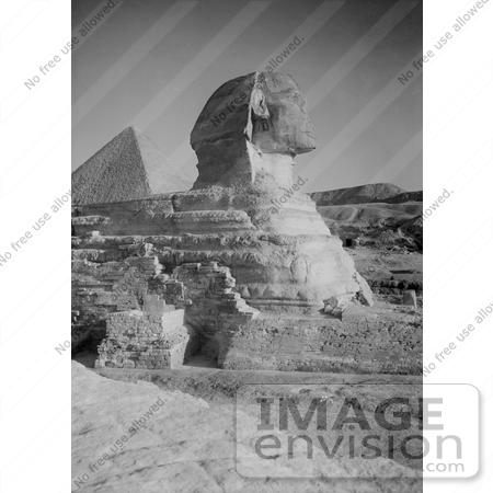 #6514 Profile of the Great Sphinx by JVPD