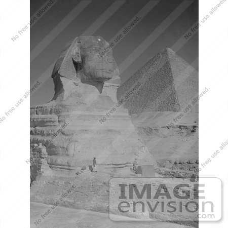 #6520 Great Sphinx and Pyramids of Giza by JVPD