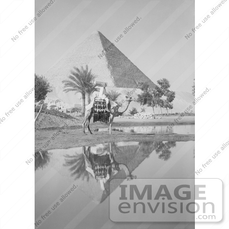 #6522 Man on Camel Near Pool of Water, Pyramids in the Background by JVPD