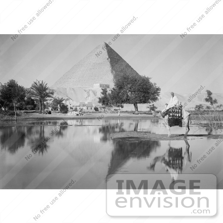 #6534 Man on Camel Near Pool of Water, Pyramids in the Background by JVPD